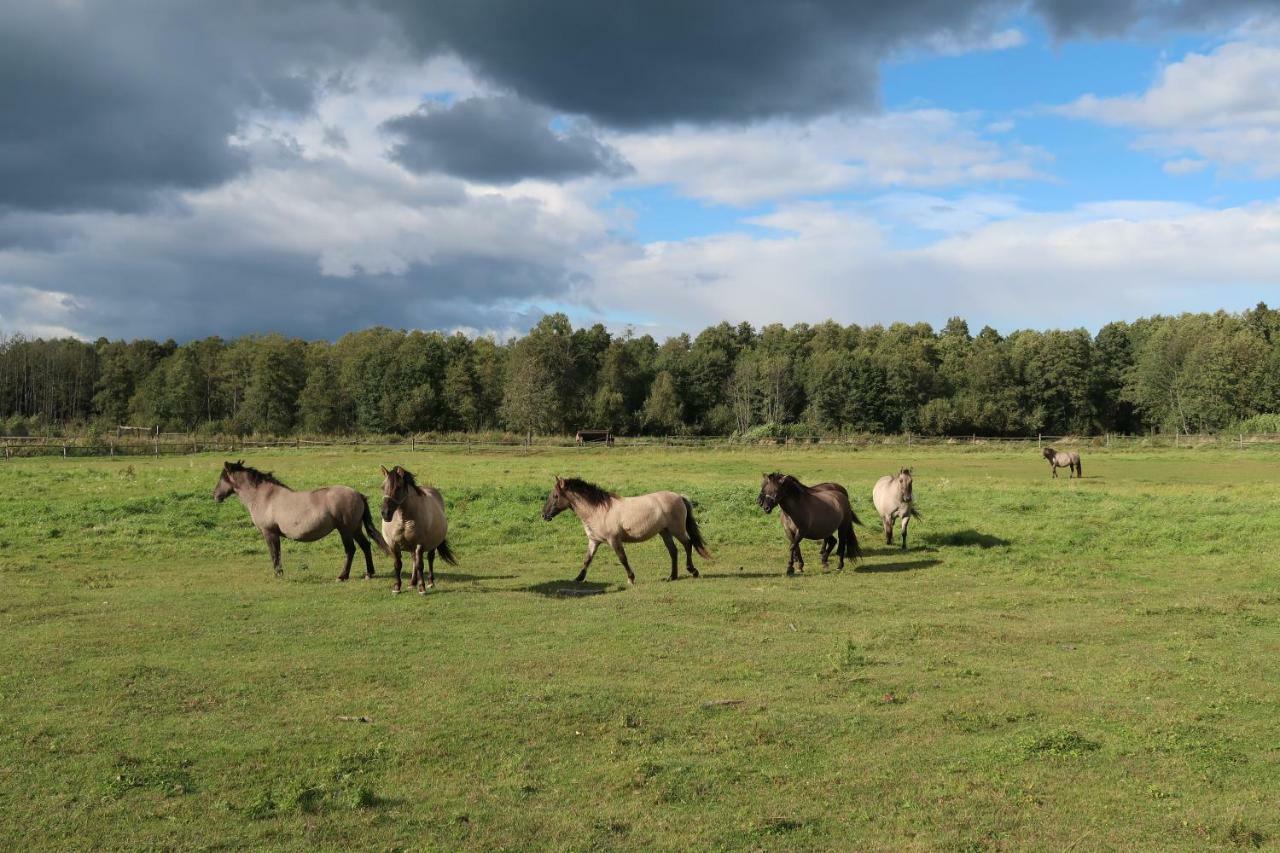 Agroturystyka Kresowka Villa Lubycza Krolewska Exteriör bild